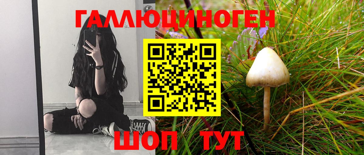 Псилоцибиновые грибы прущие грибы Коркино