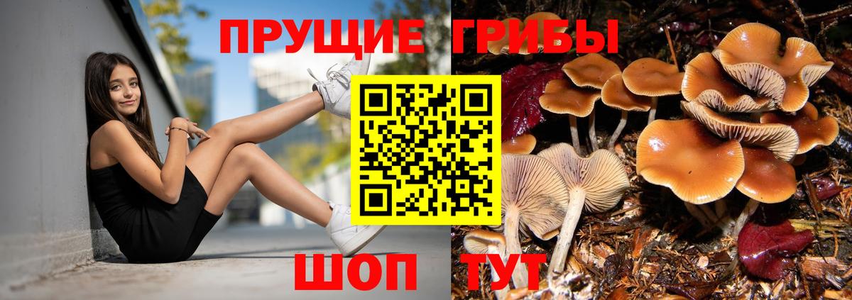 Псилоцибиновые грибы прущие грибы  Галлюциногенные грибы мицелий  Коркино  Вход с VPN 